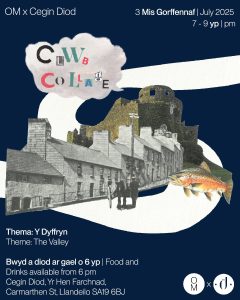 Clwb Collage Cegin Diod