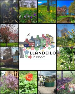 Llandeilo in Bloom