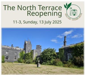 North Terrace Reopen Gelli Aur