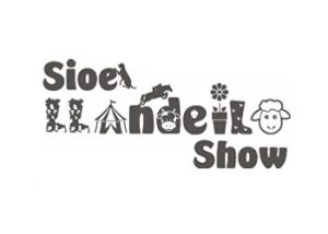 Llandeilo Show