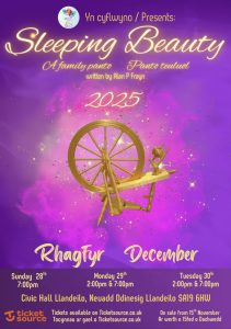 Sleeping Beauty Pantomime, Llandeilo