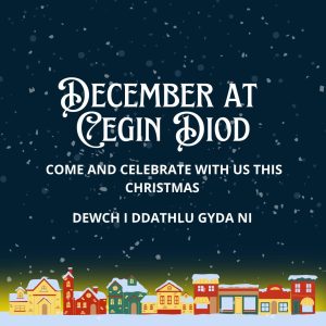Cegin Dion have got a busy month full of events and Christmas parties and we can’t wait to bring on the festive activities. 