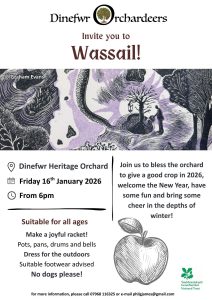 Wassail Dinefwr