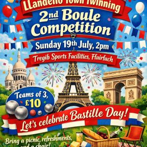 boule competition at Tregib, 19 July