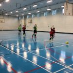 Tregib Sports Facilities