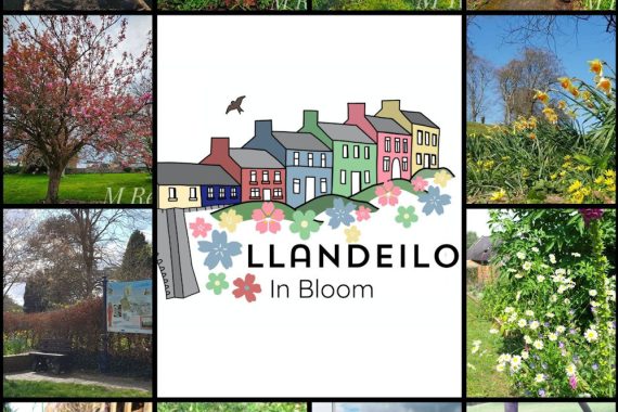 Llandeilo in Bloom