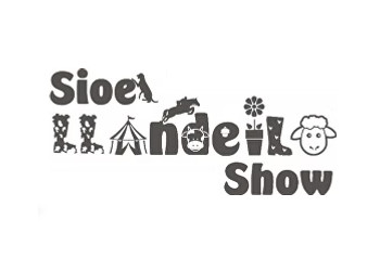 Llandeilo Show