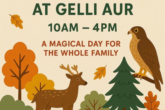 Gelli Aur Autumn Fair