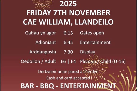 Fireworks display, Cae William November 2025