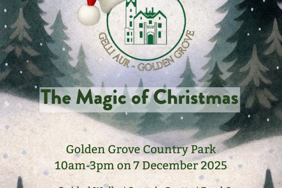 The Magic of Christmas at Golden Grove.