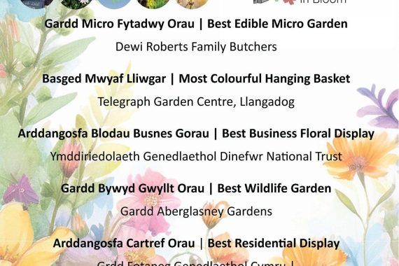 Llandeilo in bloom 2026
