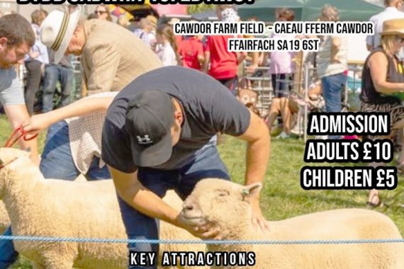Llandeilo Show 2026